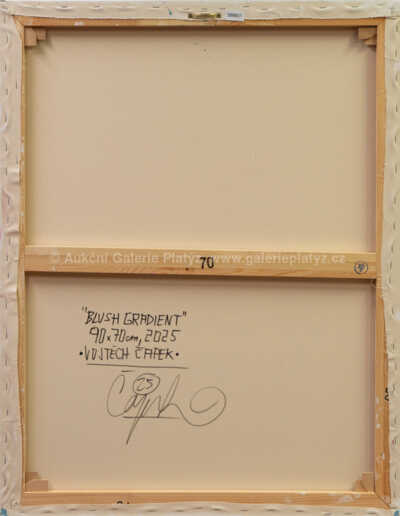  / Blush gradient / Vojtěch Čapek