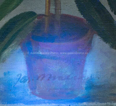  / V zahradě / Jaroslav Malinský