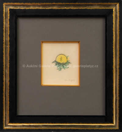 Jan  Zrzavý - Slunce