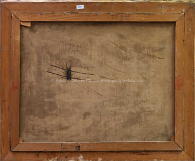  / Mlýn na Bačalech / Karel Jan Sigmund