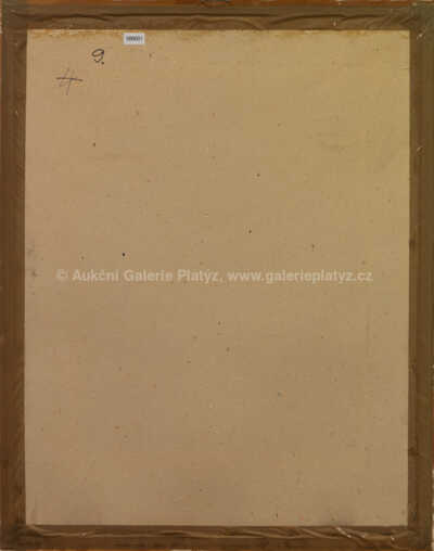  / V remízku u Petrovic / Karel Valter