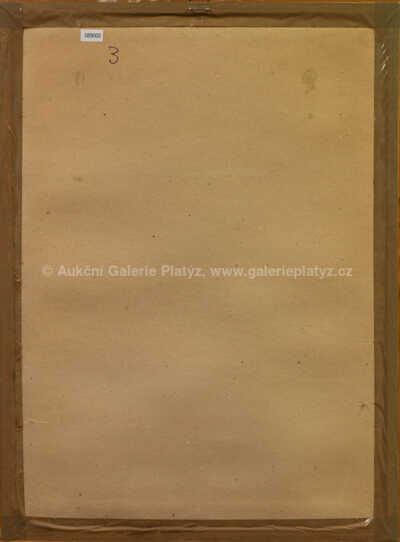  / Tři fialové květy / Karel Valter