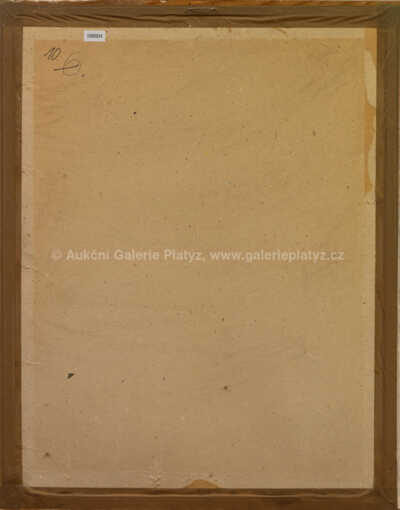  / Dva fialové květy / Karel Valter