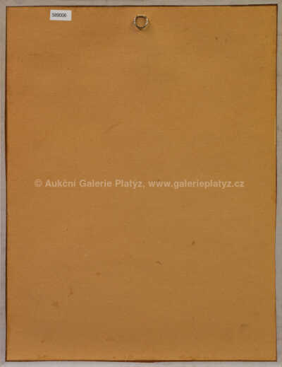  / Mochyně ve skleněném džbánu / Karel Valter