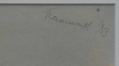  / U Trojského mostu / Richard Fremund