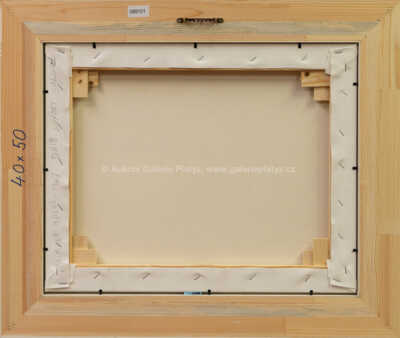  / Daimler 1947 Saloon / František Ringo Čech