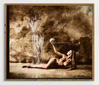 Jan Saudek - Tribute to Bořek Šípek