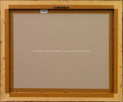  / Králíček na dětské stavebnici / Marie Čermínová - Toyen