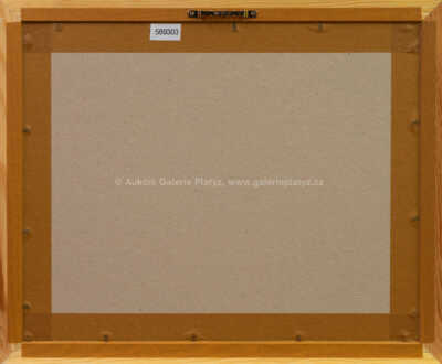  / Prázdná hnízda / Marie Čermínová - Toyen