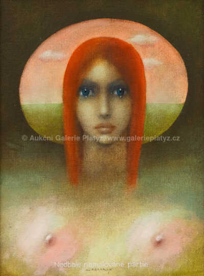  / Nedbale namalované partie / Vlastimil Zábranský