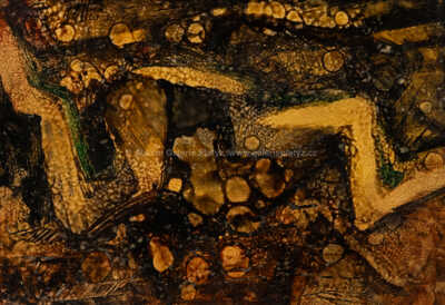  / Krajina / Zdeněk Hajný