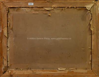  / Lokomotiva / Jaroslav Ronek