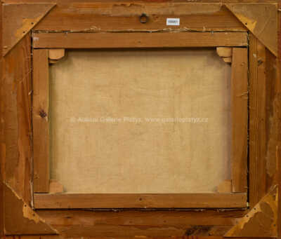  / Ulice v Banské Bystrici / Ladislav Záborský (L. Várnai)