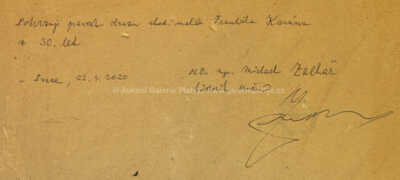  / Zimní nálada / František Kaván