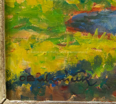  / Chalupa u potoka / Ota Bubeníček