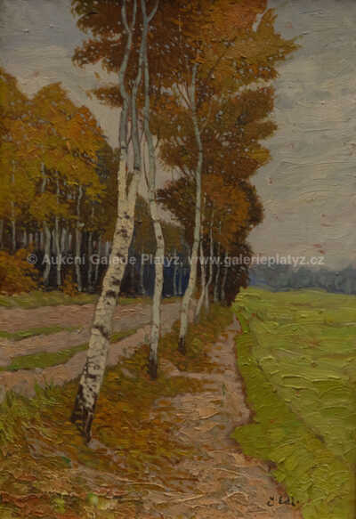  / Břízky / Jindřich Edl