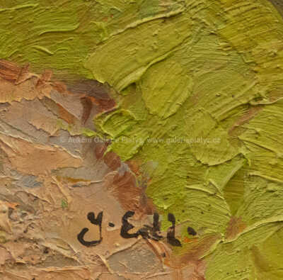  / Břízky / Jindřich Edl