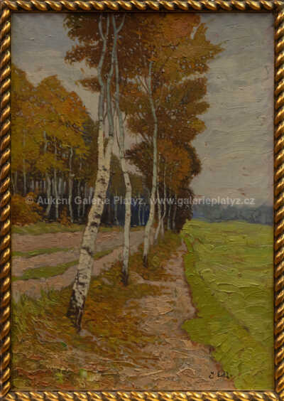 Jindřich Edl - Břízky