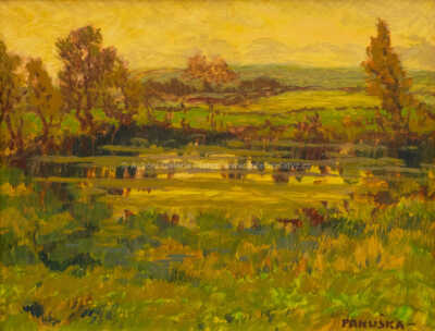  / Bažina / Jaroslav Panuška