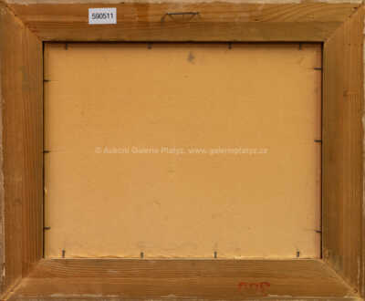  / Bažina / Jaroslav Panuška