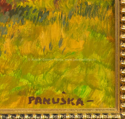  / Bažina / Jaroslav Panuška