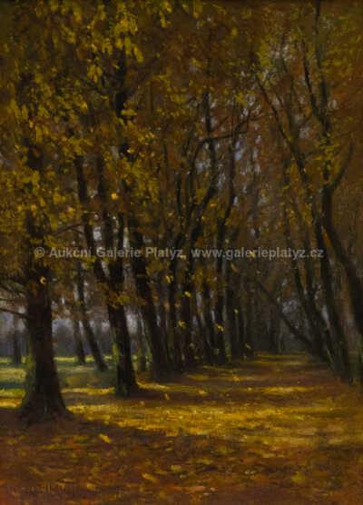  / V aleji / Ferdinand Engelmüller