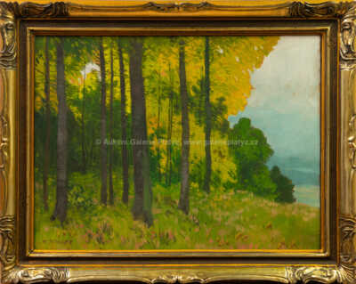 Karel Schadt - Na kraji lesa