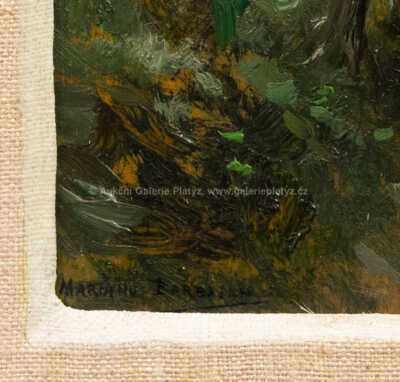  / Lesní partie / Mariano Barbasan