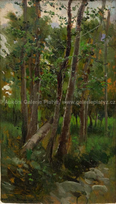  / Lesní partie / Mariano Barbasan