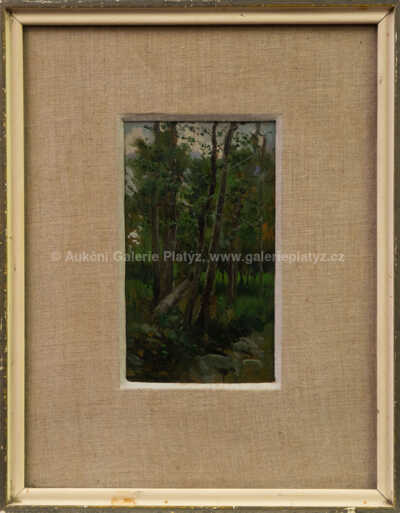 Mariano Barbasan - Lesní partie