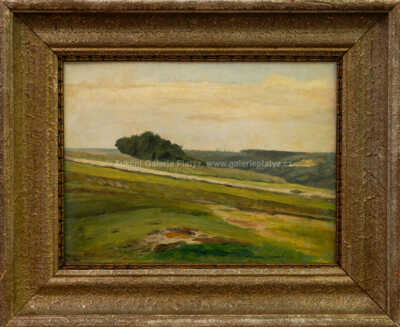 František Kaván - Z okolí Libuně (1902)