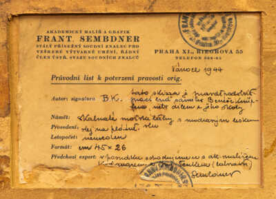  / Příboj / Beneš (Benedikt Julius) Knüpfer