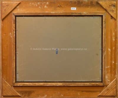  / Snopy / František Daněk - Sedláček