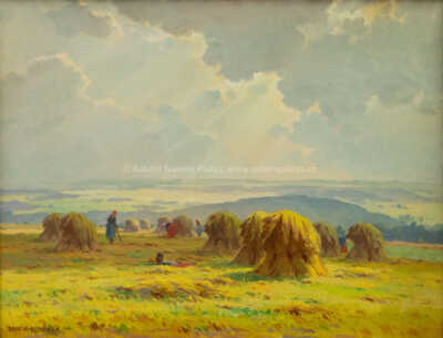  / Snopy / František Daněk - Sedláček