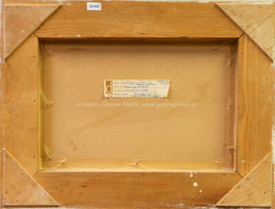  / Bruslení na Vltavě / Ferdinand Kotvald