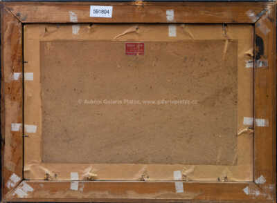  / Chalupy / Ota Bubeníček