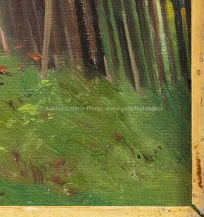  / Jabloň v květu (Kokořínsko) / Josef Soukup