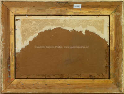  / Na poli / František Daněk - Sedláček