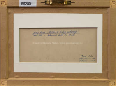  / Kvítko z čertovy zahrádky / Josef Lada