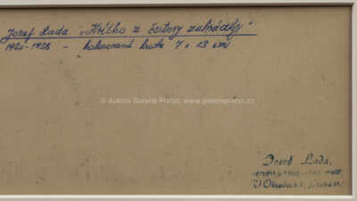  / Kvítko z čertovy zahrádky / Josef Lada