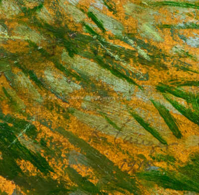  / Siesta po koupeli / Karel Langer