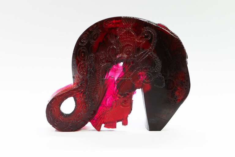  / Muréna / Jaromír Rybák