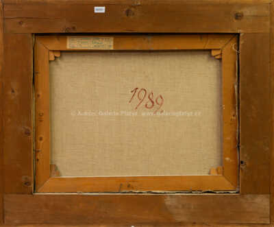  / Domy v Rokytnici / Miloslav  Holý