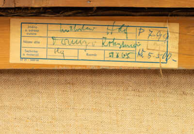  / Domy v Rokytnici / Miloslav  Holý