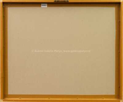  / Školní potřeby a tabule (z cyklu Střelnice) / Marie Čermínová - Toyen