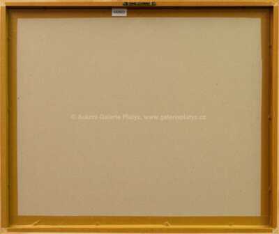  / Surrealistické divadlo s husami (z cyklu Střelnice) / Marie Čermínová - Toyen