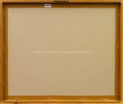  / Pláč mezi ptačími klecemi (z cyklu Střelnice) / Marie Čermínová - Toyen