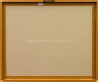  / Barometry a opuštěná hnízda (z cyklu Střelnice) / Marie Čermínová - Toyen