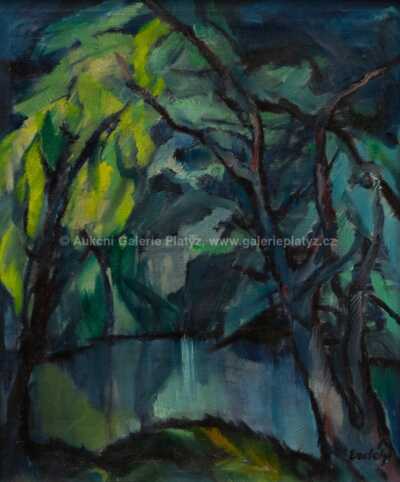  / Noční řeka / Vojtěch Erdélyi