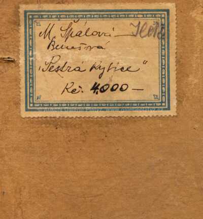  / Květinové zátiší / Milada Špálová